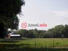 佛罗伦萨房产信息_美国佛罗伦萨房价_居外海