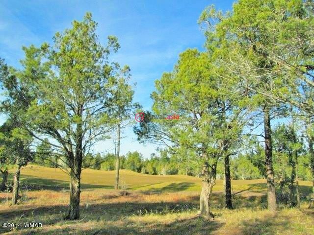 2401 s monkshood road, show low, arizona, united states